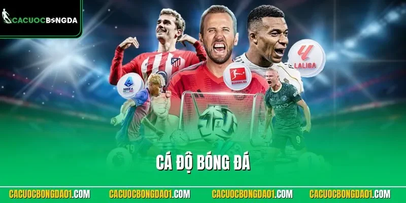 Cá độ bóng đá