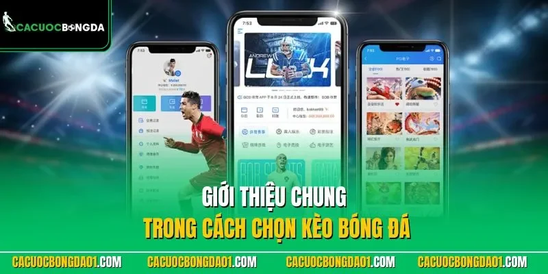 Giới thiệu chung trong cách chọn kèo bóng đá